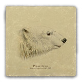 "Polar Bear" Tumbled Stone Coaster