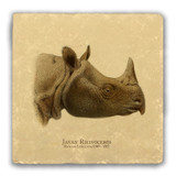 "Javan Rhinoceros" Tumbled Stone Coaster