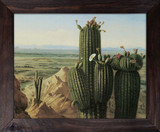 View from Maricopa Mountain near the Rio Gila - Henry Cheever Pratt