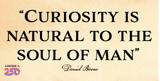 Daniel Boone Quote "Curiosity is Natural" Bumper Sticker