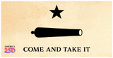 "Come and Take it" Bumper Sticker