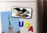 American Eagle Magnet Long