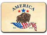 America250™ Buffalo Magnet Standard