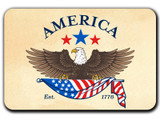 America250™ Eagle Magnet Standard