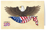 Eagle and Flag Greeting Card