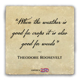 "When the Weather is Good" Tumbled Stone Coaster