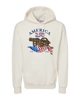 America250™ Cannon Hoodie