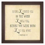 Jeremiah 1:5 Framed Quote