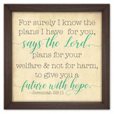 Jeremiah 29:11 Framed Quote