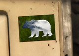 Misty Forest Bear Magnet