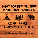 "What Doesn't Kill You" Customizable Sticker
