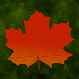 Red Maple Leaf Customizable Sticker