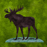 Moose Sticker