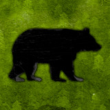 Black Bear Sticker