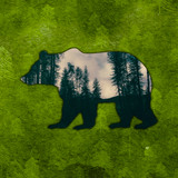 Forest Bear Sticker
