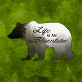 "Life is an Adventure" Bear Sticker