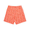 Sydney Swans Mens Boxer Shorts/Sock Gift Pack