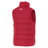 Sydney Swans 2025 Mens Nike Sideline Fill Vest Gym Red