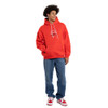 Sydney Swans Mitchell & Ness 150 Premiership Wins Hoody