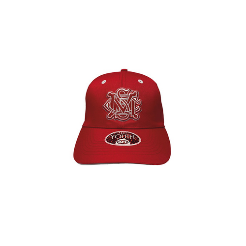 Sydney Swans 2023 Youth 3D logo Cap