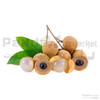 Longan fruit Thailand 1Packet 500gm Approx