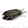 Eggplant Long Black & Green-500G
