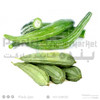 Sponge Gourd Doha -500G