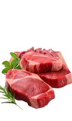 Fresh Meat