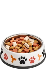 Dog's