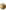 Pulses 