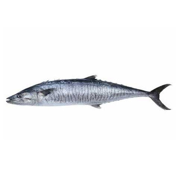 King fish small Whole -1kg