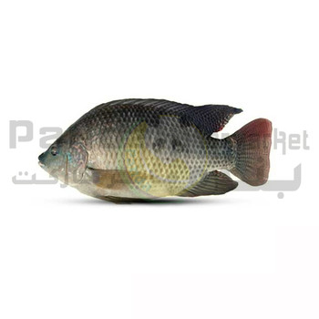 Tilapia Fish 1kg