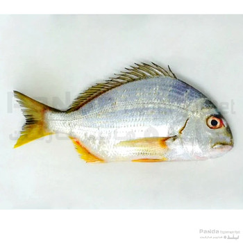 Shome Fish 1kg