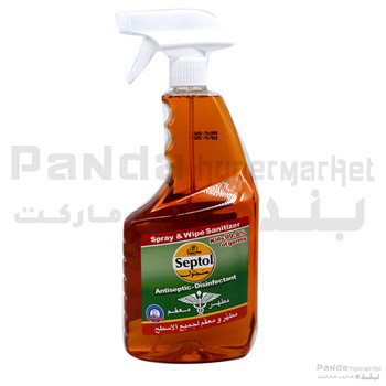 Spartan Deptol Spray&Wipe 825ml