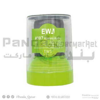 EWA Speaker A107