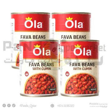 Fava Beans With Cumin 400GmX4Pcs