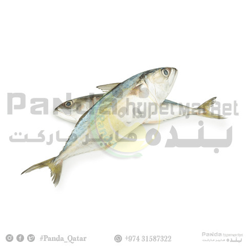 Mackeral - Ayala Small 1kg