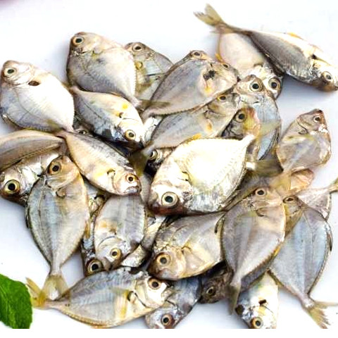 Mullan fish 1kg