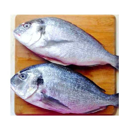 SEABREAM 1kg