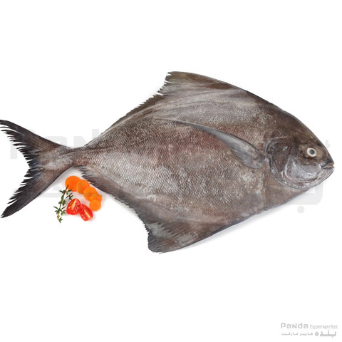 Black Pomfret 1kg