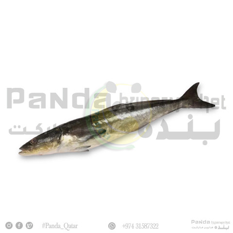 Butter Fish 1kg