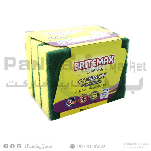 Sponge Scourer 3pcs SP210B