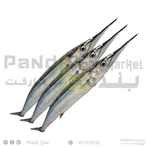 Needle Fish Doha 1kg