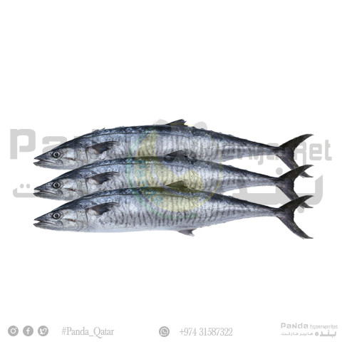 King fish small 1kg
