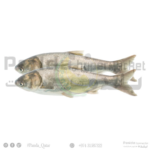 Silver Fish 1Kg