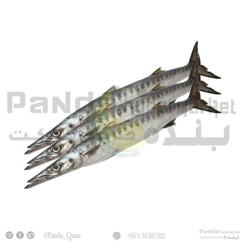 Baracuda Fish 1kg