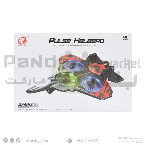 Foam Aircraft R/C G21 2.4