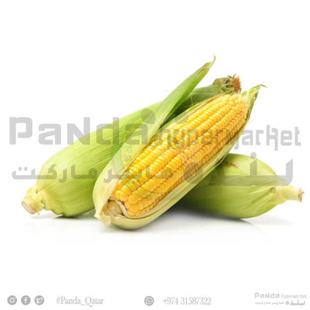 Sweet Corn Fresh-1Kg