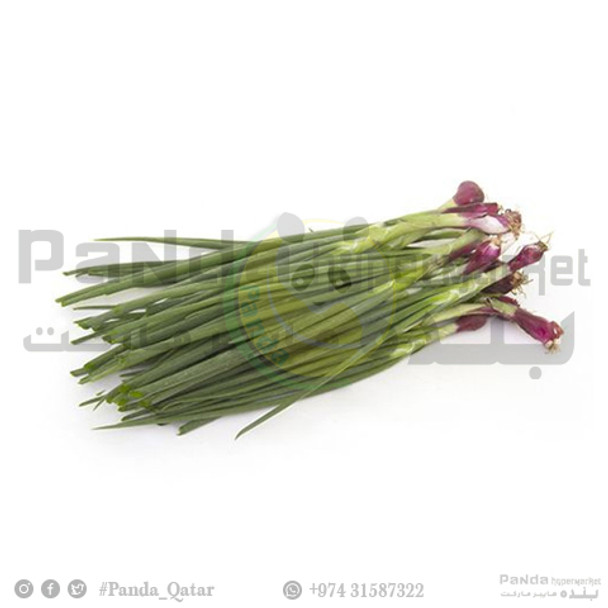 Spring Onion KSA 250gm