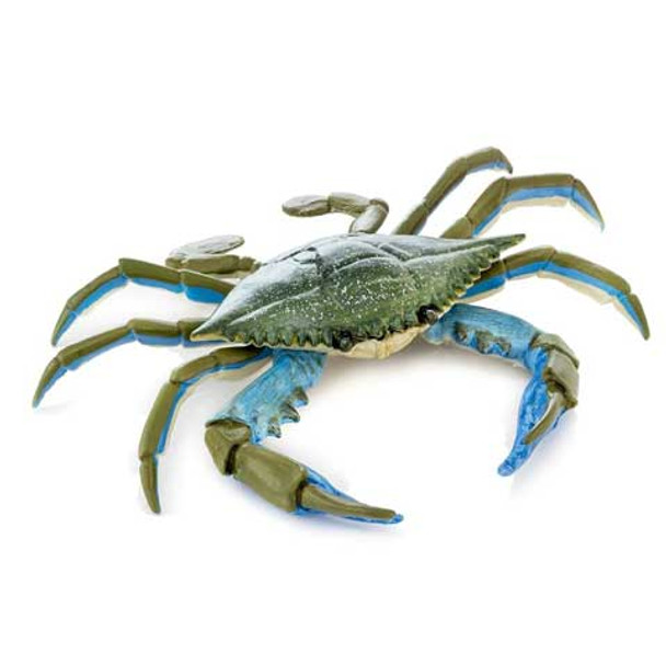 Crab blue 1kg